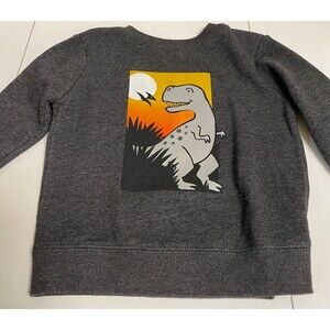 Garanimals Dinosaur Sweatshirt Size 18 mos